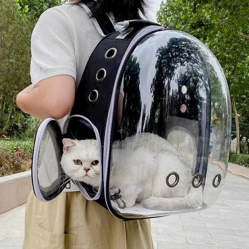 Transparent Pet Carrying Bags