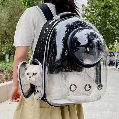 Transparent Pet Carrying Bags